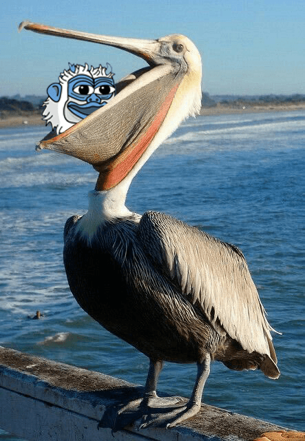 Lofi The Yeti eaten by pelican