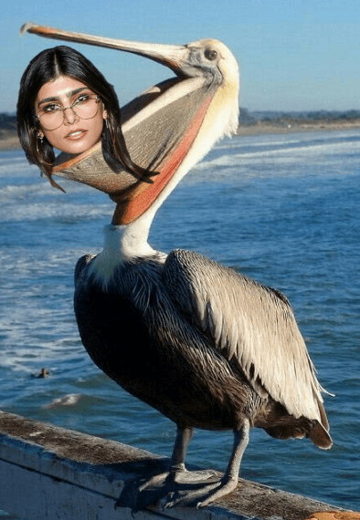 Mia Khalifa eaten by pelican